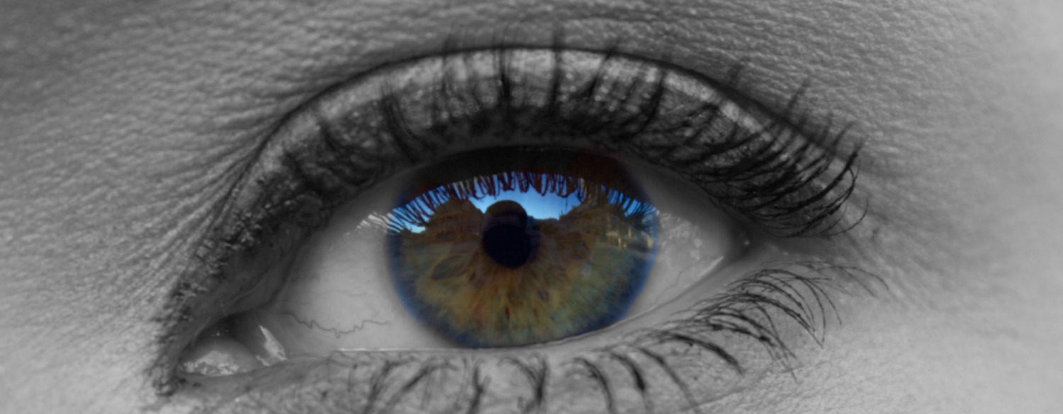 GREFF DE CILS