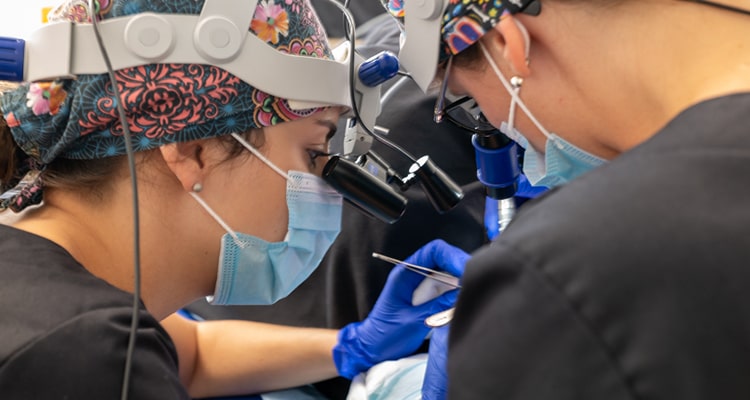 The hair transplant center in Avignon - France